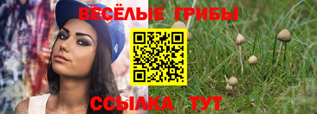 Псилоцибиновые грибы Magic Shrooms Ухта